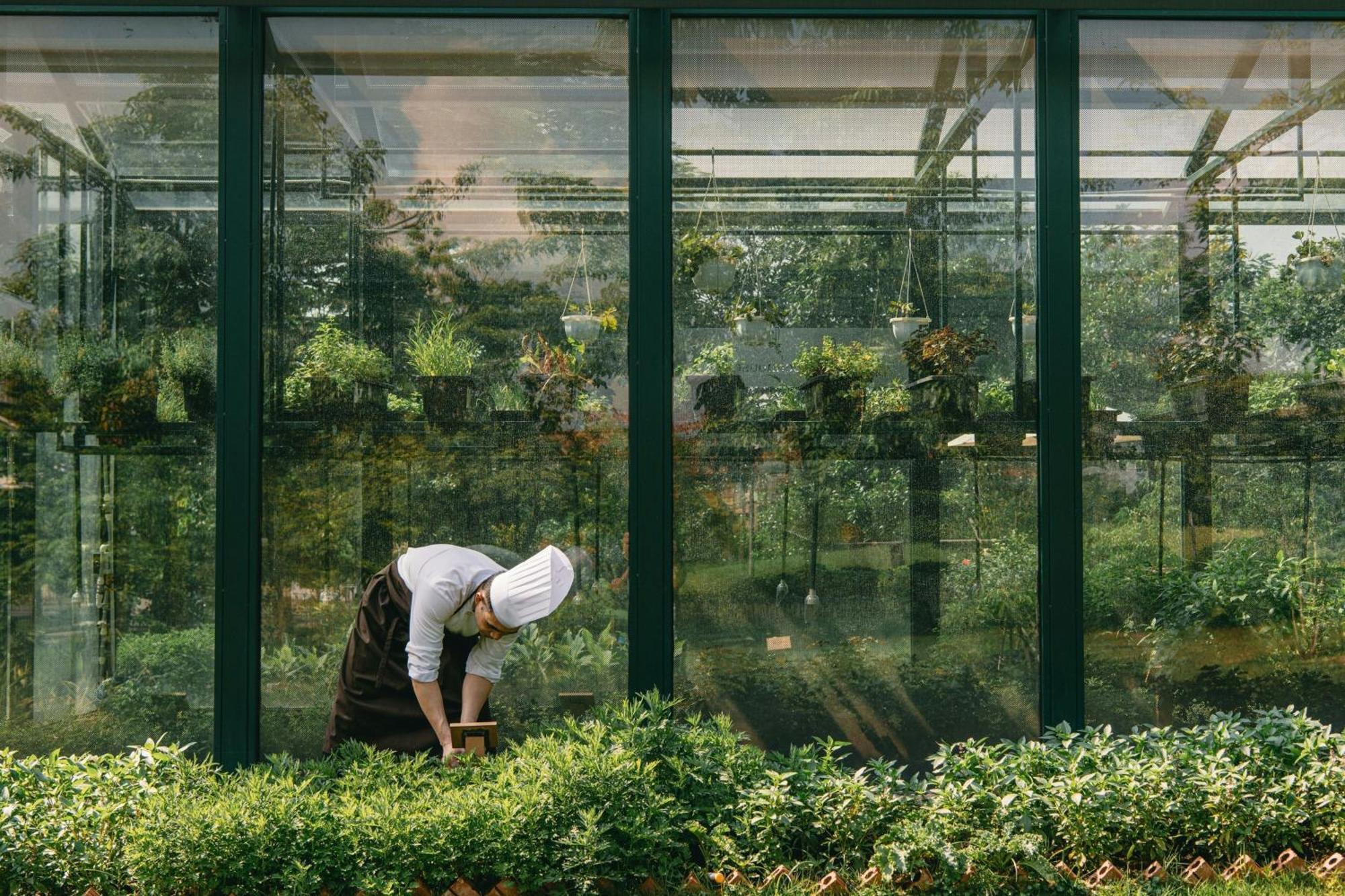 JW Marriott Hotel Hanoi Eksteriør bilde